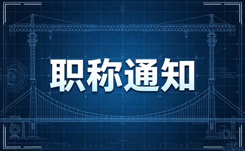 上海正高级审计师职称上一年度未通过